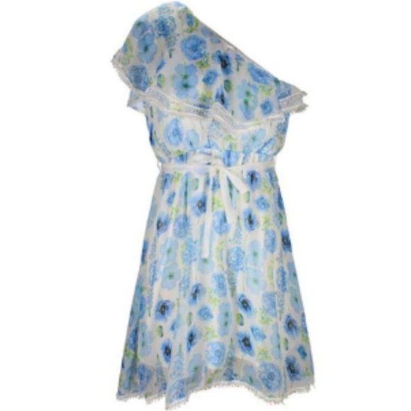 NWT OB2-12 Blue Floral Asymmetrical Dress - Picture 1 of 6